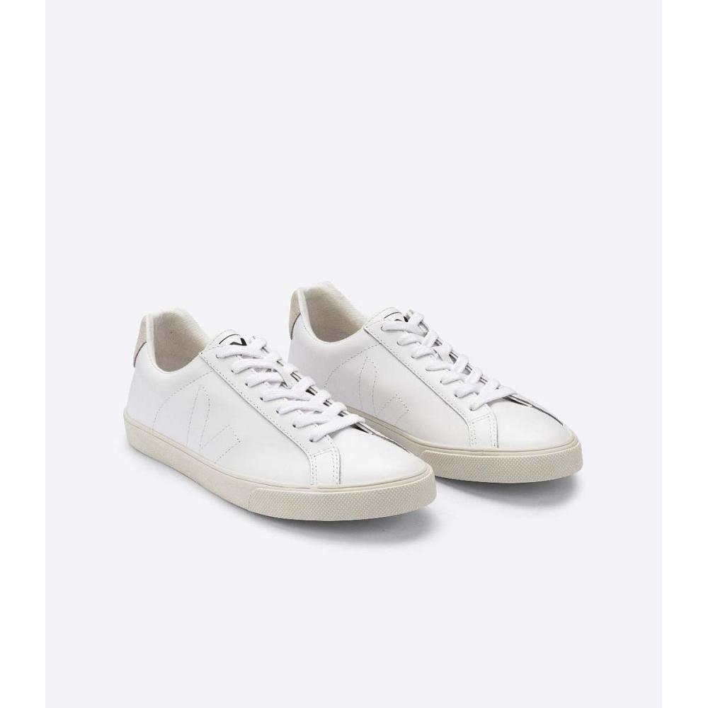 Veja ESPLAR LEATHER Tornacipő Férfi Fehér | HU 308JPQ